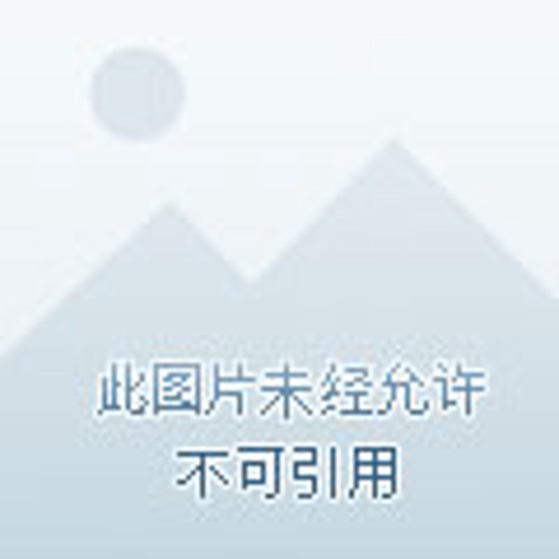 物业维修:如何有效解决房屋问题